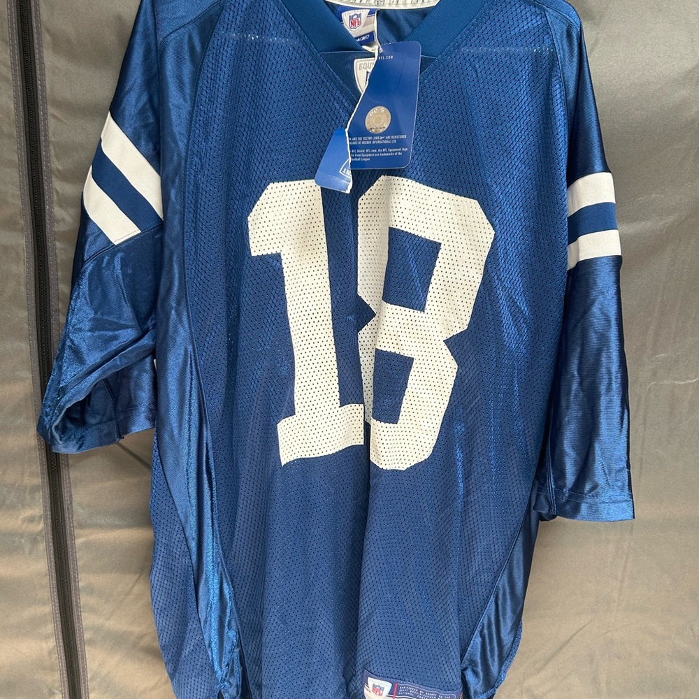 Reebok Blue Jersey with White Number